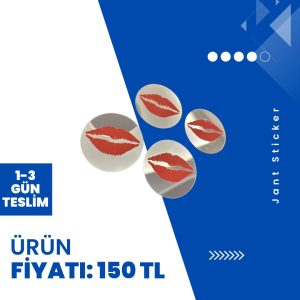 Jant Sticker (4'lü)