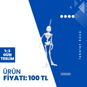 İskelet Süsü