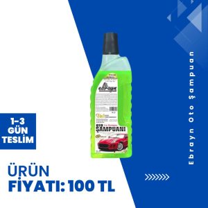 Ebrayn Oto Şampuan